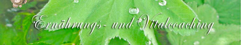 Wilkommen bei Martina Eickhoff